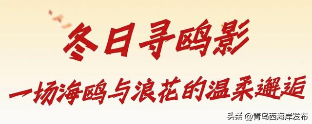 来西海岸，跨年就要这么玩！