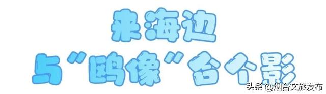 【乐游烟台】周末好去处丨雪窝烟台，冬日仪式感拉满了！