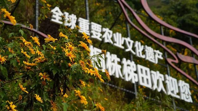 累了！就到这条路上走走，它也许是你逃离喧嚣的“心灵驿站”