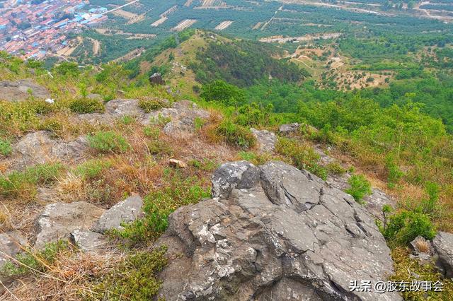 胶东见闻笔记：栖霞“唐山硼”两度游