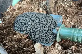 羊粪是个宝，但是使用时有“3忌”，用错后果很严重，看完明白图片