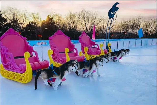 顺义奥林匹克水上公园雪世界明日盛大开园！