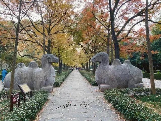中国“最另类”省会：本省城市不待见，却与隔壁省亲如一家？