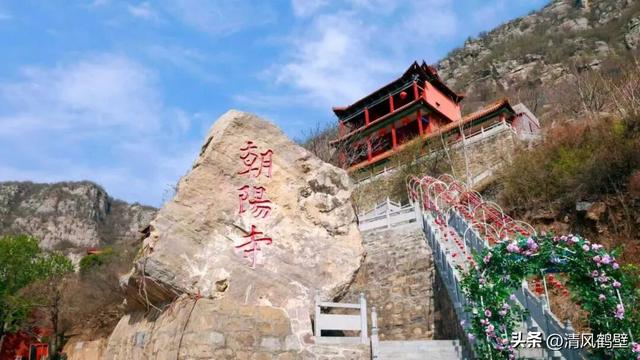 镜头丨天高云“清”赏鹤城