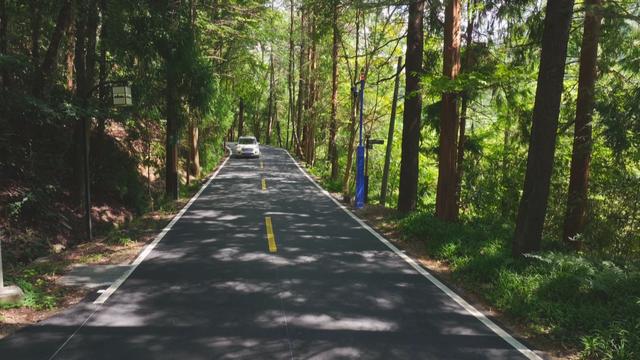 天目山又悄悄变美了！生态旅游综合改造提升工程完工 游客量暴涨40%