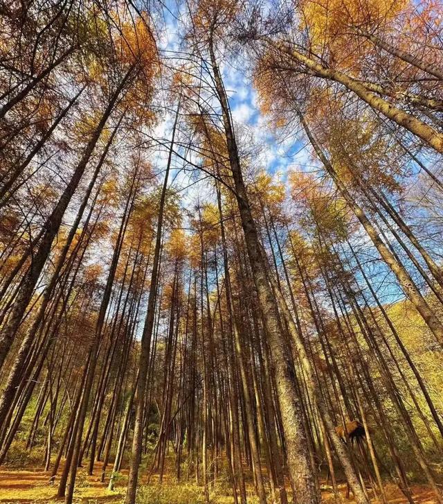 初冬赴高桥：山水藏诗 古迹含情