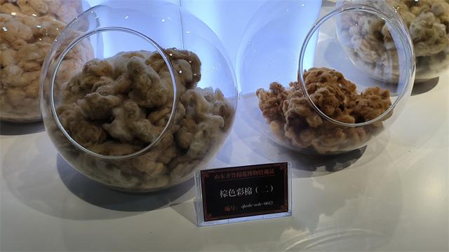 沿着黄河遇见海丨打卡山东省内唯一棉花博物馆 看工业旅游新创意