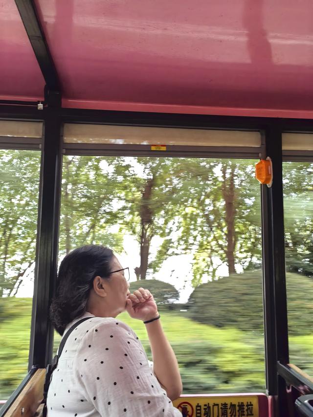 湘粤赣之旅（九）：长沙橘子洲·爱晚亭记