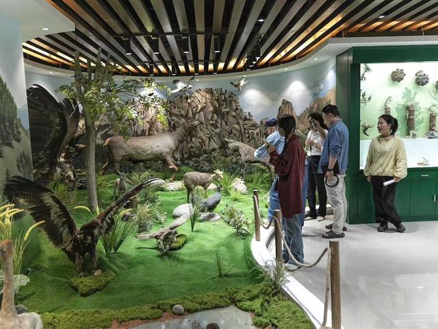 贺兰山“封育保护”25载：从历史展厅到智慧云端 贺兰山生态保护启新篇