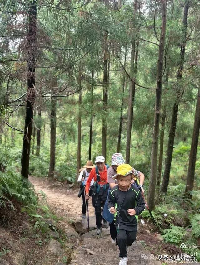 周末徒步去！这个有"温州版武功山"之称的名山，你可要去爬一次