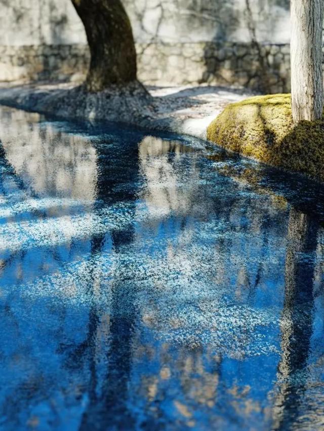 八月蓝海