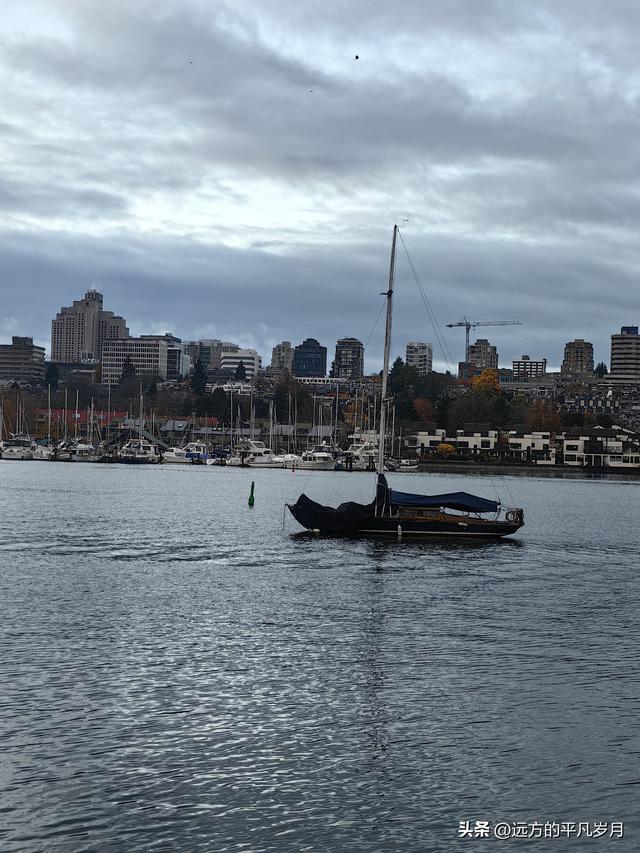 温哥华游记（六）