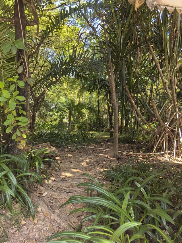 2025.11.30和辽宁沈阳朋友贾大哥游览西双版纳滨江公园