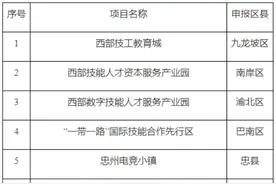 点赞！年度“最美巴渝工匠”名单出炉图片