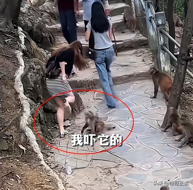 后续！男子大骂景区大爷，身份被扒评论区沦陷，南京文旅意外躺枪
