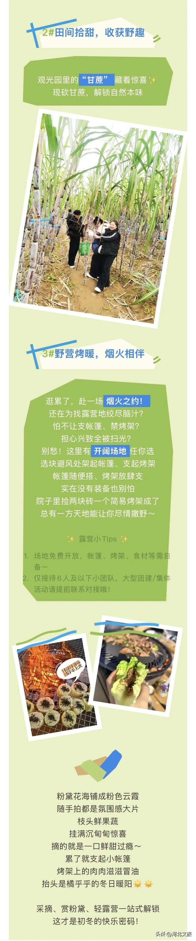 周家庄乡观光园初冬宝藏玩法来啦！