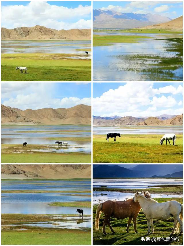西藏阿里探秘之旅：穿越时空的圣境行走