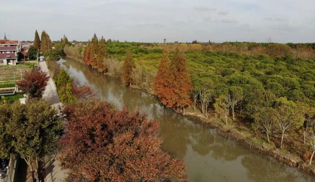 冈身与上海方志中的历史水系河道