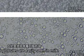 宝宝多大能吃盐？90%家长都搞错了！科学控盐记住这3个阶段图片