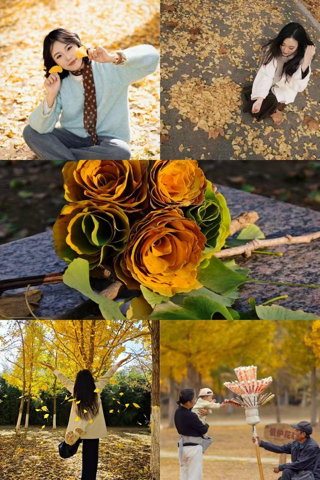 最适合拍银杏的地方！ 临沂十个0元打卡点，抓住今年最后的金色风暴！