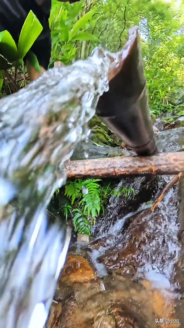 偶遇天平山上的小溪，测试结果竟然是优质山泉水