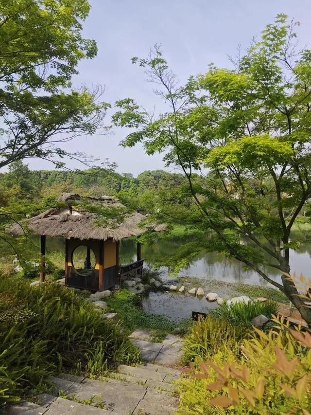 成都公园的中式美学也太绝了，这波必须狠狠夸！