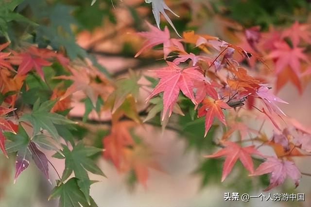 住进山海，最懂浪漫的福州人露营地