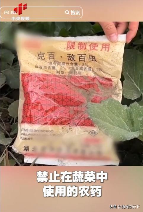 央视曝光毒红薯！商户主动投毒，流窜至全国多地，背后利益链曝光