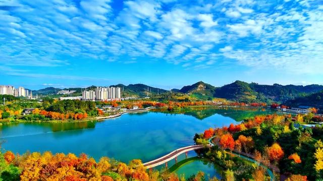 值此红黄，新蒲初冬画卷已打开！