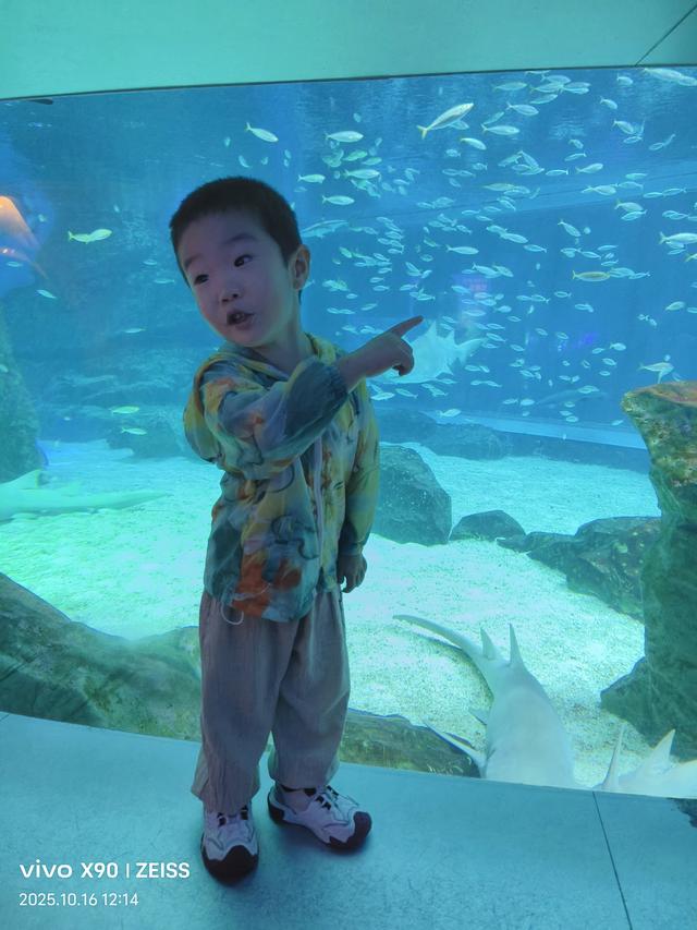 成都 极地海洋公园（58）2025年10月16日