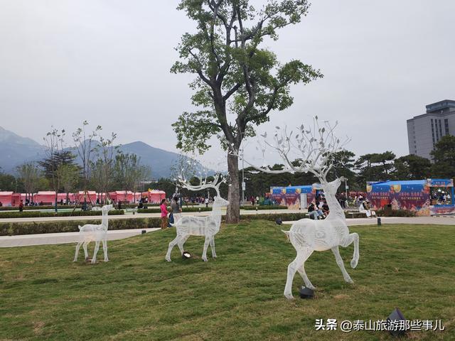 泰安：这个景点拆除了两排石灯笼，树少了，道新了，从压抑到敞亮