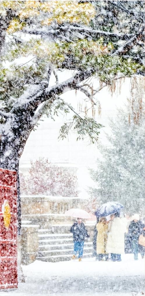 被赵立坚“点名”，长春在干什么