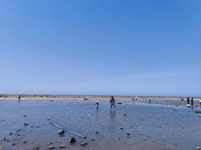 莱州海上长城,赶海好地方,没找到长城,两个遗憾也是美好回忆。