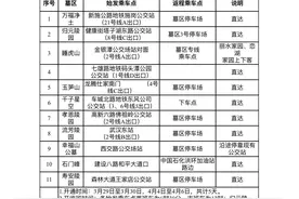 清明公共交通出行“不堵心”！武汉祭扫专线公交、轮渡齐助阵图片