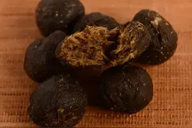秋冬鼻炎高发，就用这颗小药丸敷肚脐，散寒驱邪，把鼻炎拦在门外图片