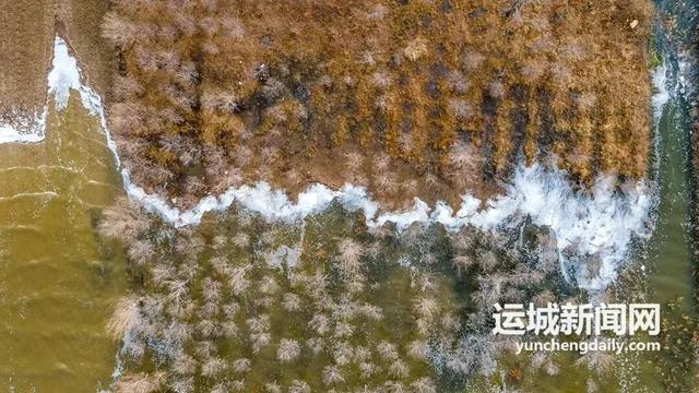 运城盐湖变身“泡泡海” “梦幻模式”开启