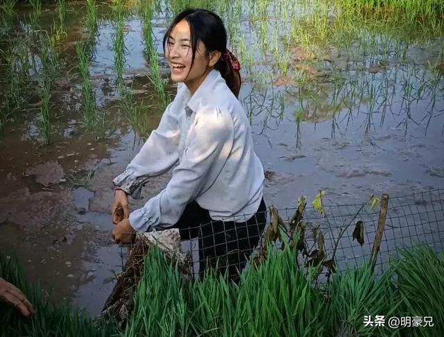 我做代课老师去校长家插秧,他独生女儿问我:你愿意来我家上门吗