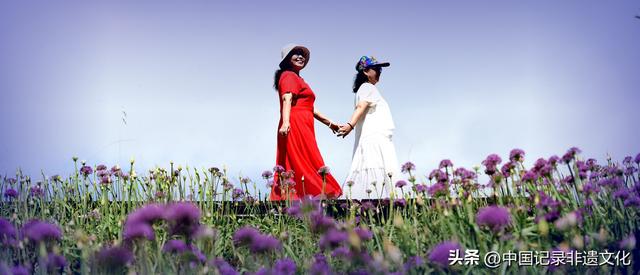 六盘水韭菜坪：踏秋避暑的梦幻仙境，野生韭菜花惊艳绽放！