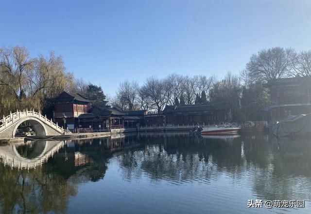 紫竹院冬日偶遇退休教授，一句话让我明白生活9个层次