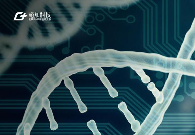 十家实力深圳网站制作公司：2025国内品牌全面盘点，开发能力突出