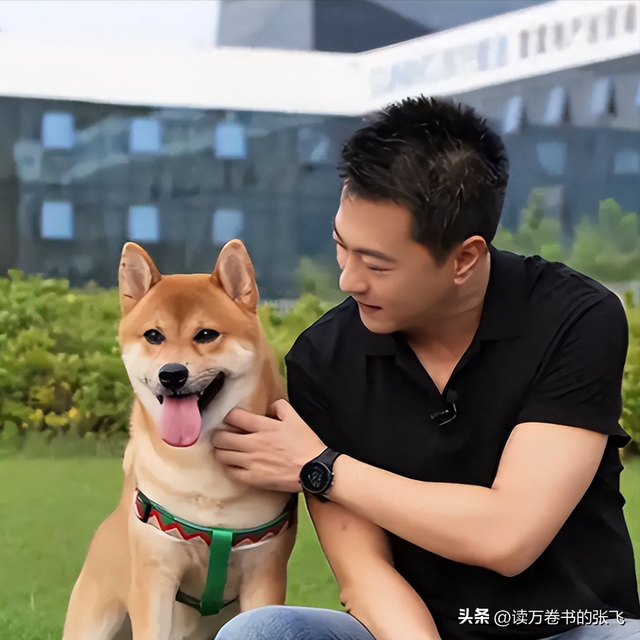 从确诊到去世仅15天，“央视最帅主持人”顾国宁，为人们敲响警钟