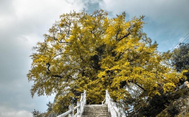 世界上只有中国泸州才有的全球独一无二的10大奇景！