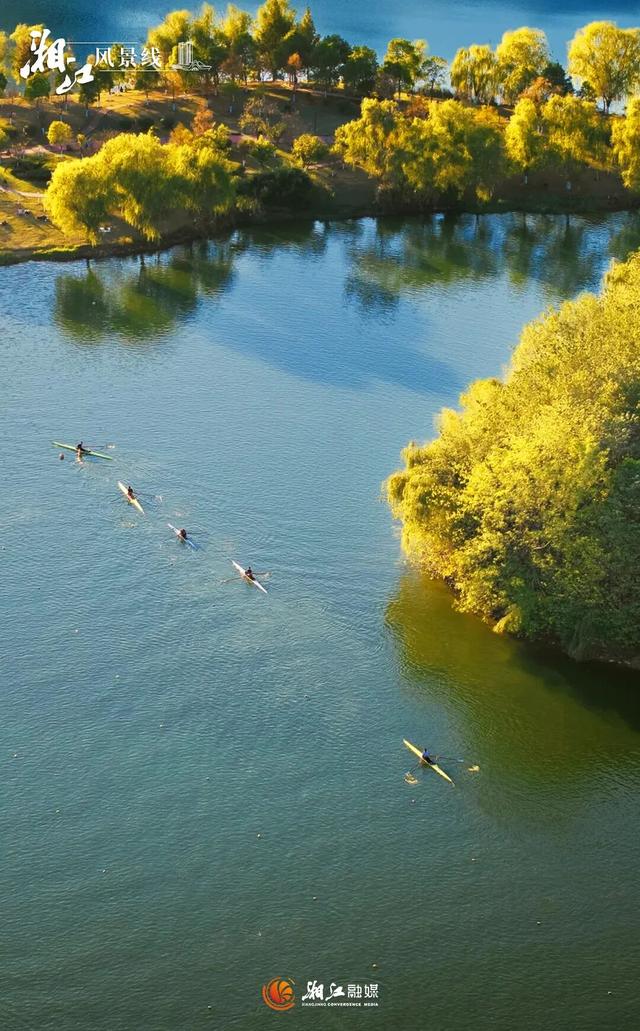 这样的桐梓坡，你一定没见过！