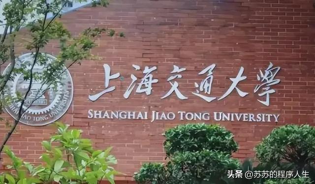 2亿薪酬、跨厂挖角！庞若鸣成为2025年AI圈 “打工皇帝”