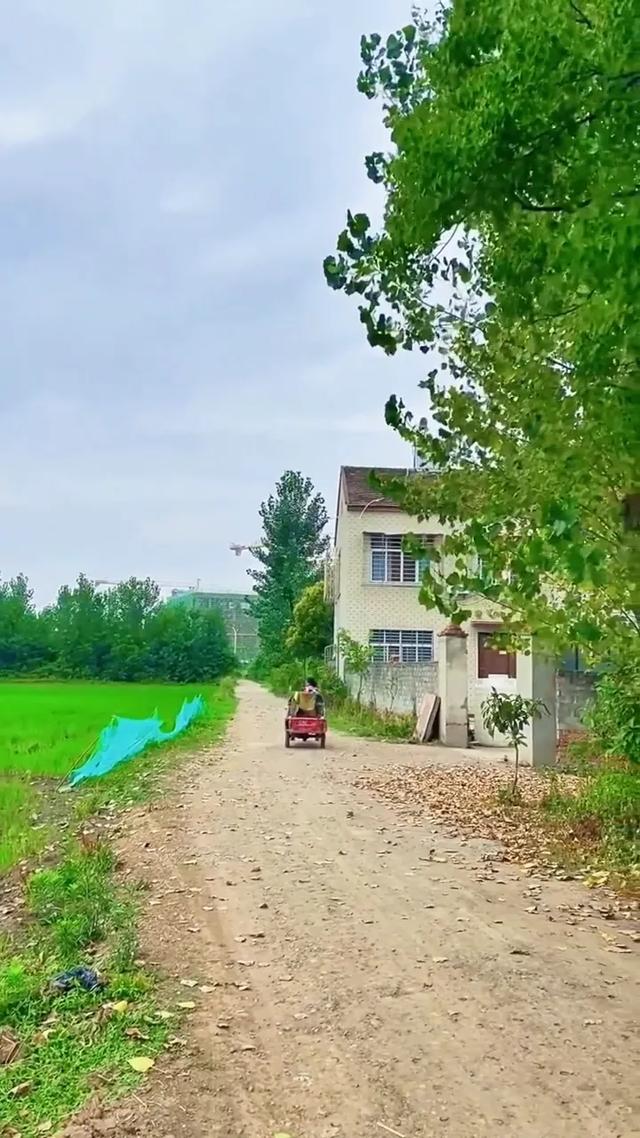 最沉重最顶级的血泪教训就是搞女人会伤，玩小人会死，惹烂人会毁