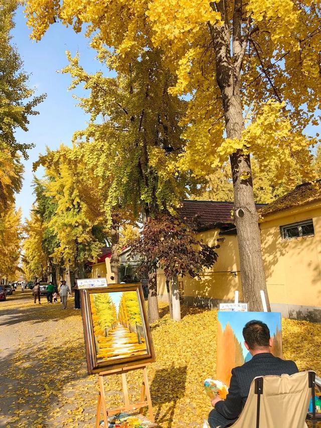 潍坊美景“告急”！这些地方错过等一年！