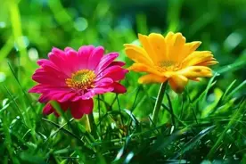 实用通俗祖祠对联范例图片