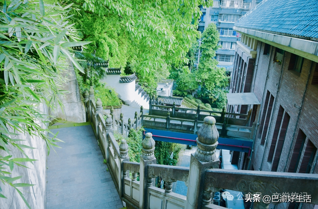 北碚公园竟是"大熊猫"命名地，原来藏着这么多秘密
