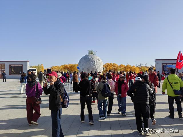 额济纳旗胡杨林