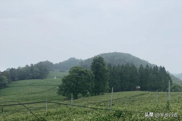 湖南国有林场：石门县白云山林场风光欣赏！